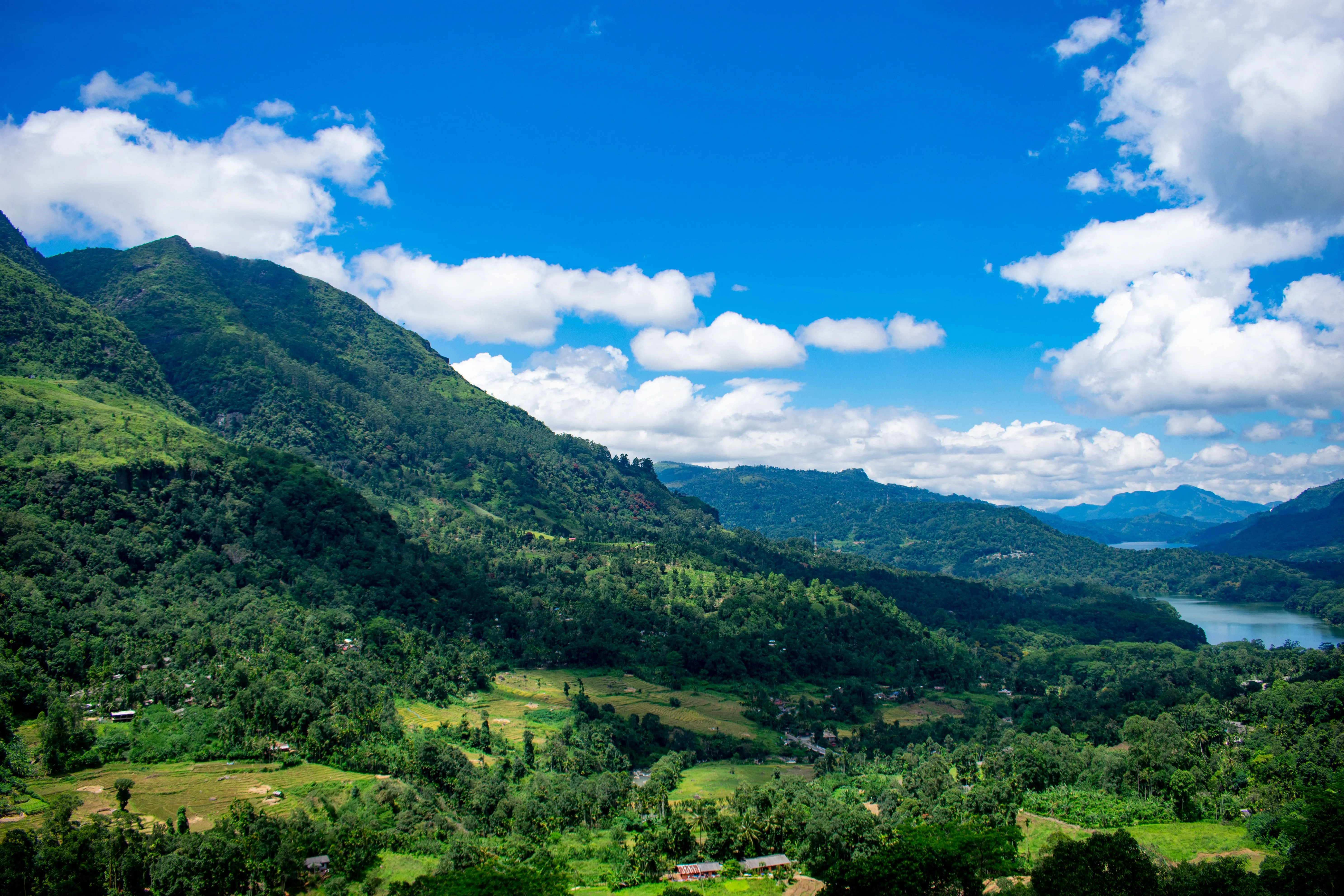 Ella Valley Views
