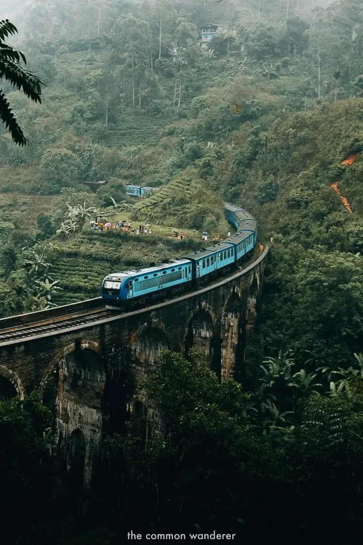 Budget Backpacker / Group Tour Sri Lanka
