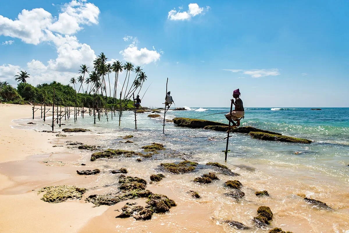 Sri Lanka Coastal Dream Escape
