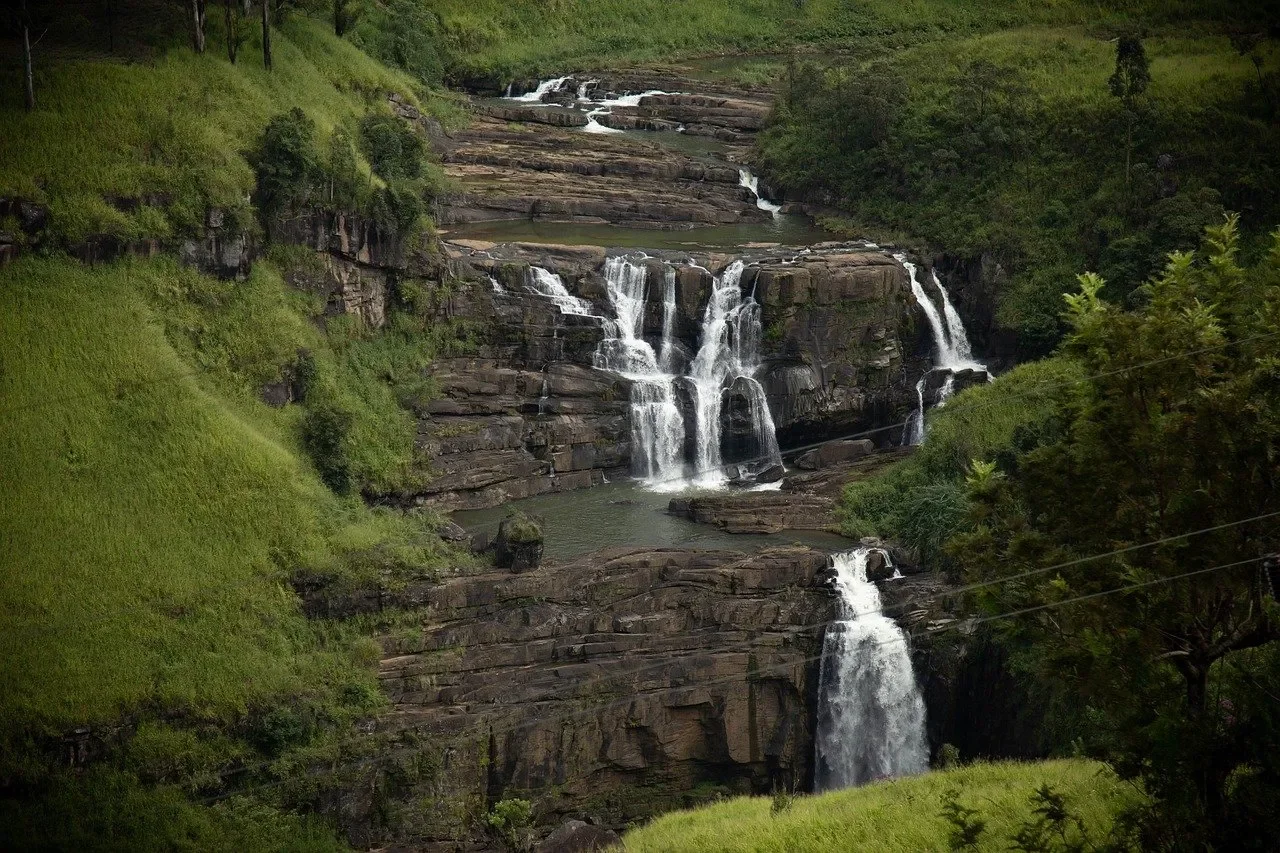 Eco Adventure & Rainforest Discovery